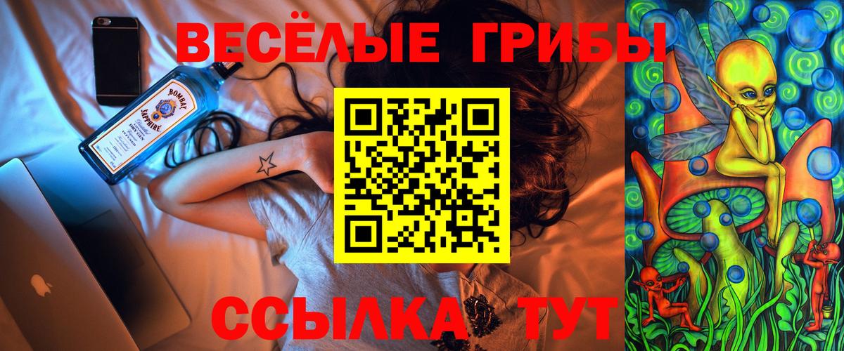 Галлюциногенные грибы прущие грибы  Вход с VPN  Самара  Псилоцибиновые грибы GOLDEN TEACHER 