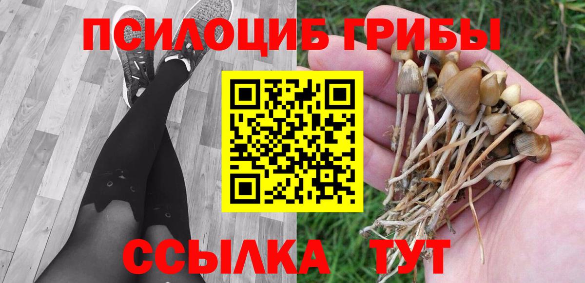 Псилоцибиновые грибы Magic Shrooms Самара